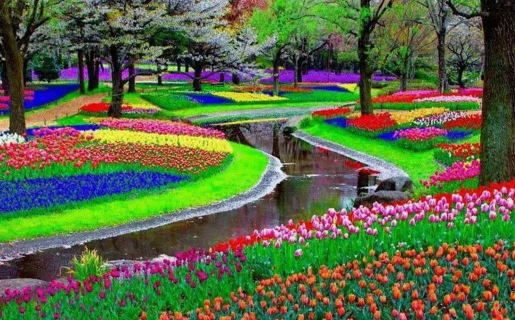 Rainbows In The Meadow Red, Yellow, And Green