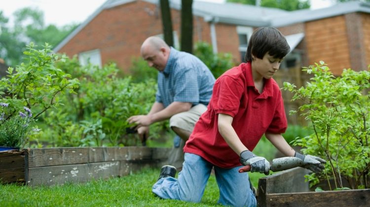 Mental and Physical Health Benefits of Gardening