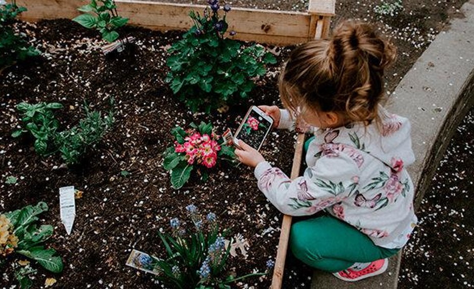 7 Frugal Gardening Tips