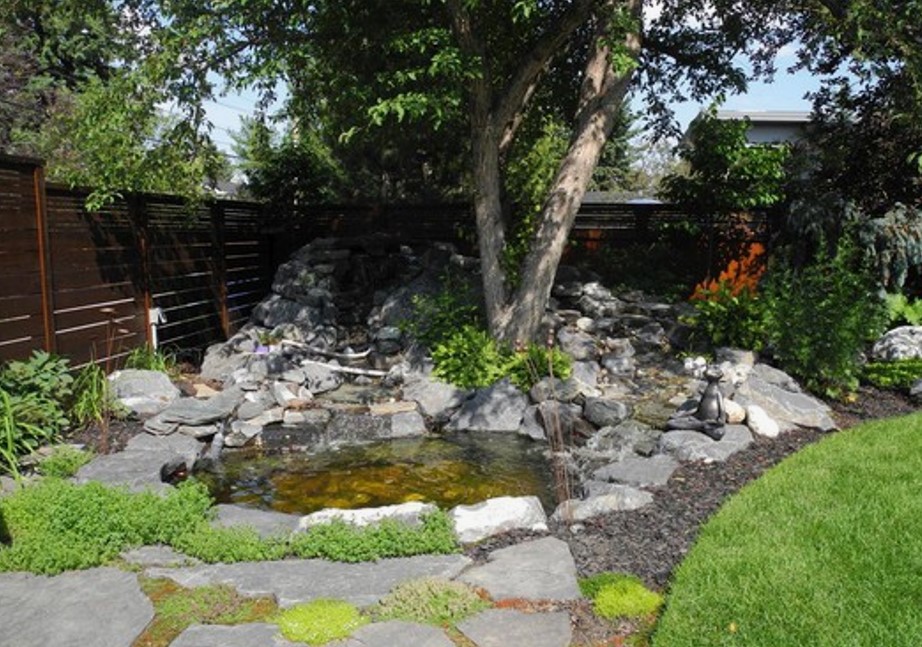 Backyard Gardeners Branch Out Landscaping