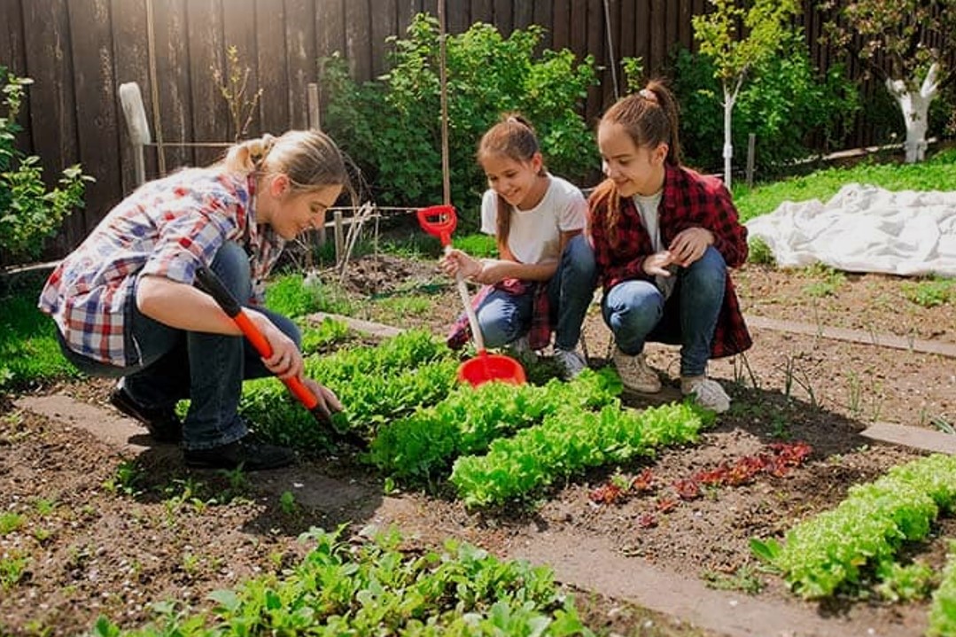 Community Gardening
