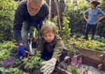 Garden and Neuroendocrine