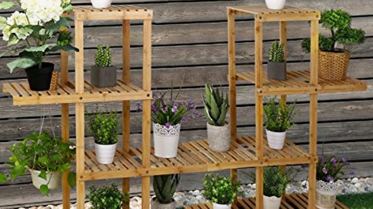 You've Got To Try These 5 Genius Ways To Water Plants On High Shelves