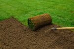 How To Lay Sod
