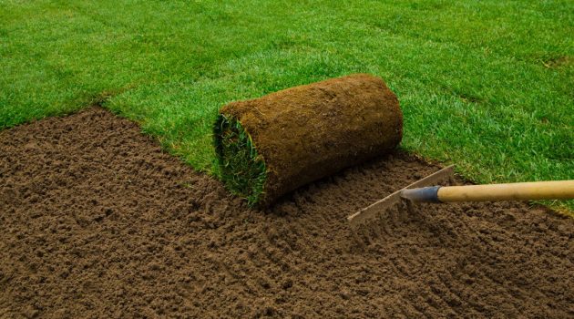 How To Lay Sod