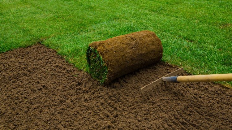 How To Lay Sod