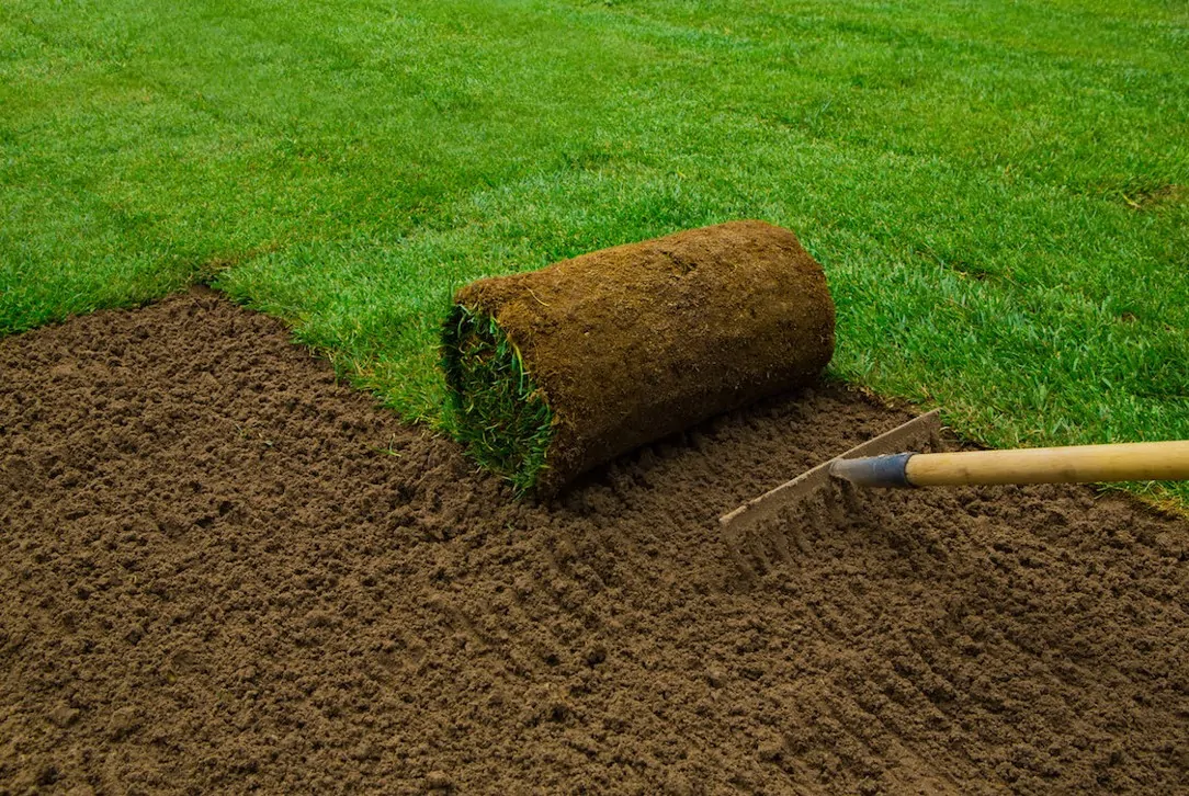 How To Lay Sod