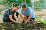 Summer Fun in the Garden