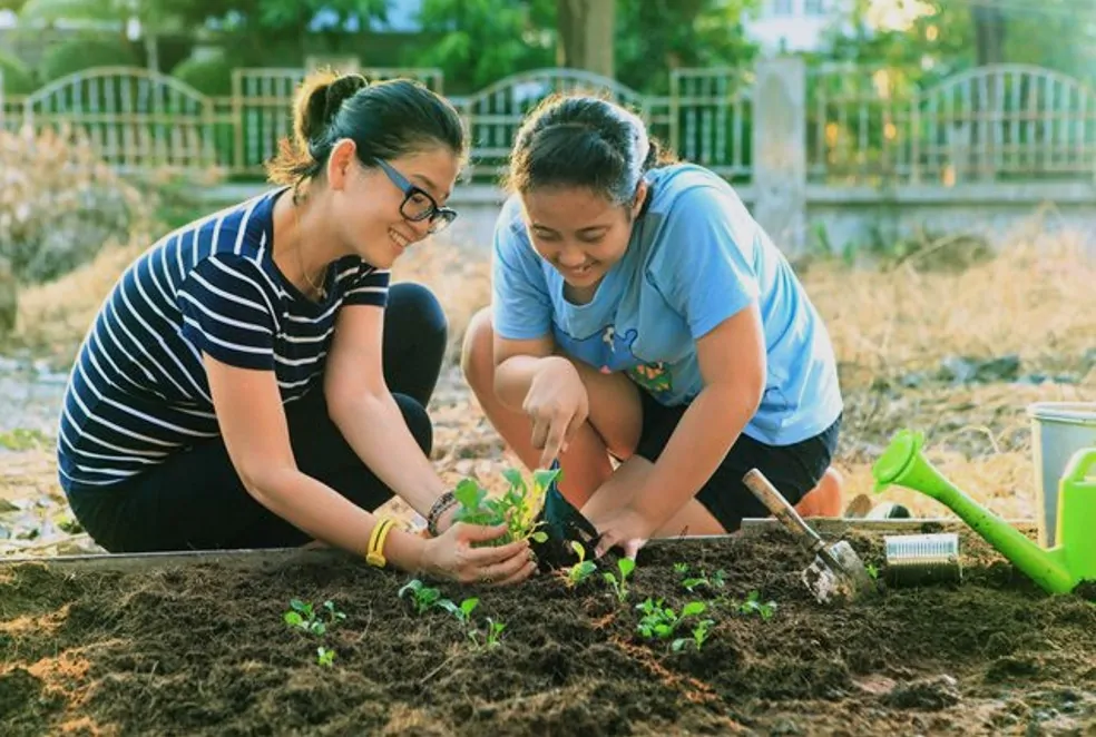 Summer Fun in the Garden