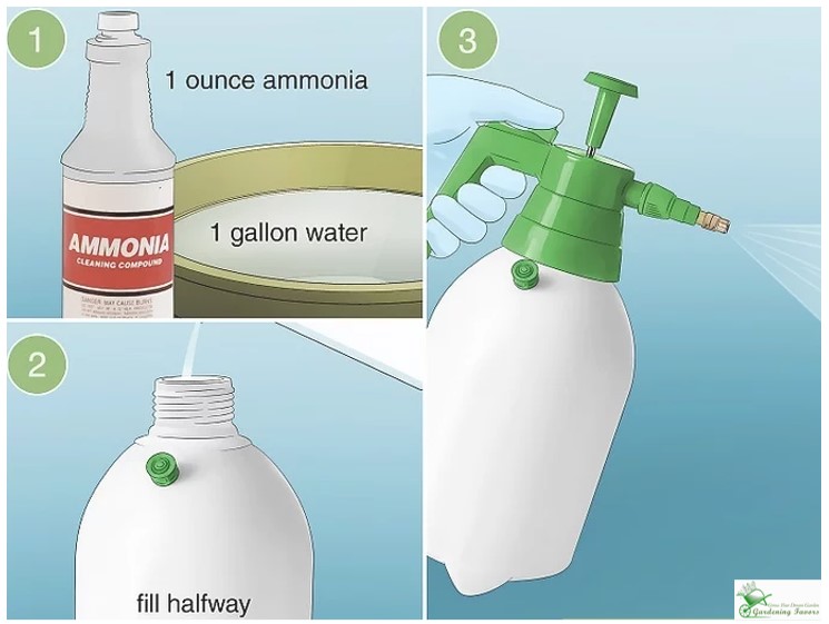 Use a Commercial Tank Cleaner or Ammonia Solution to clean a garden sprayer