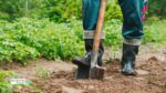 Digging shovels