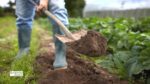 Garden Shovel
