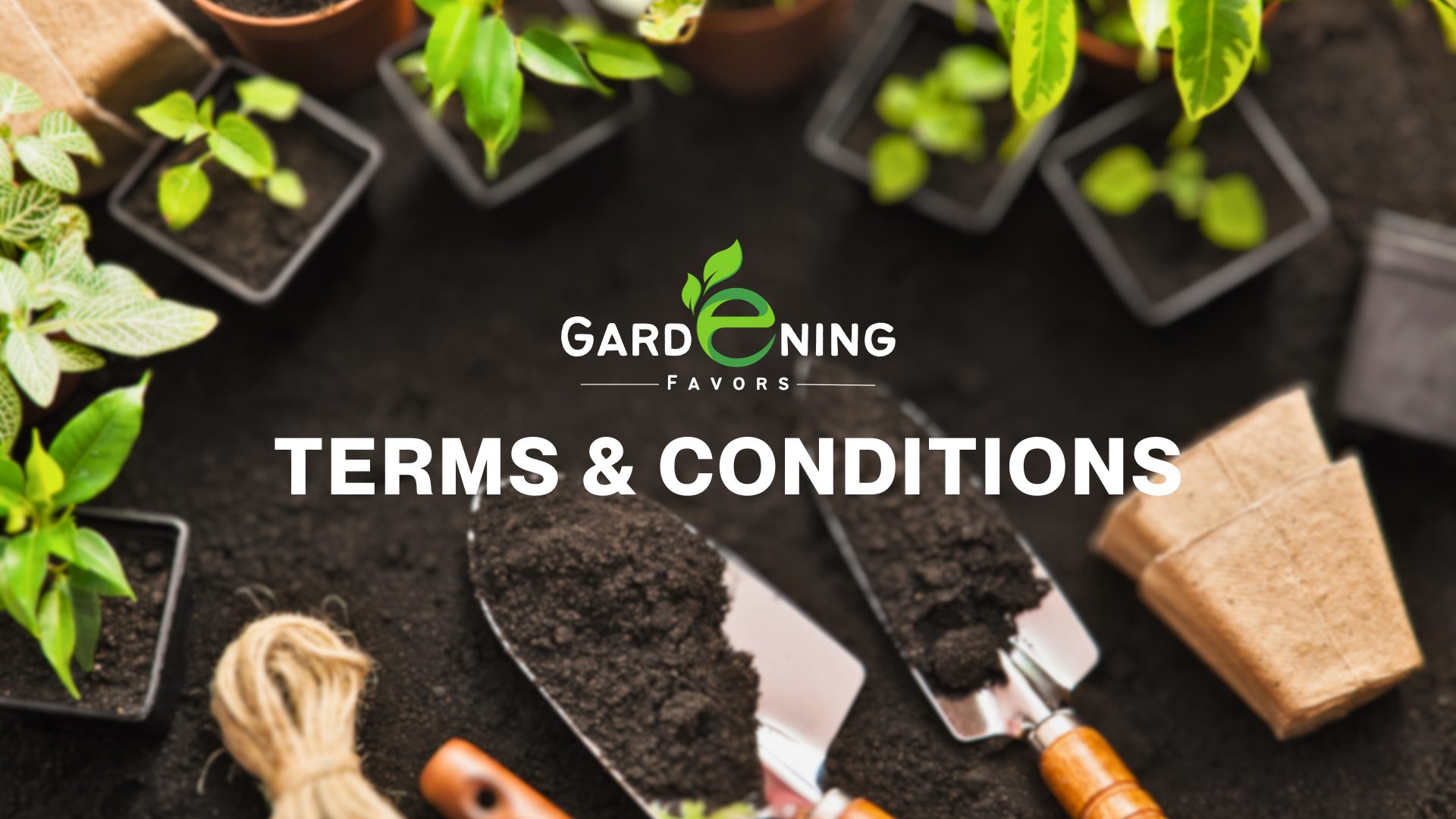 Terms and Conditions