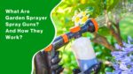 What Are Garden Sprayer Spray Guns And How They Work