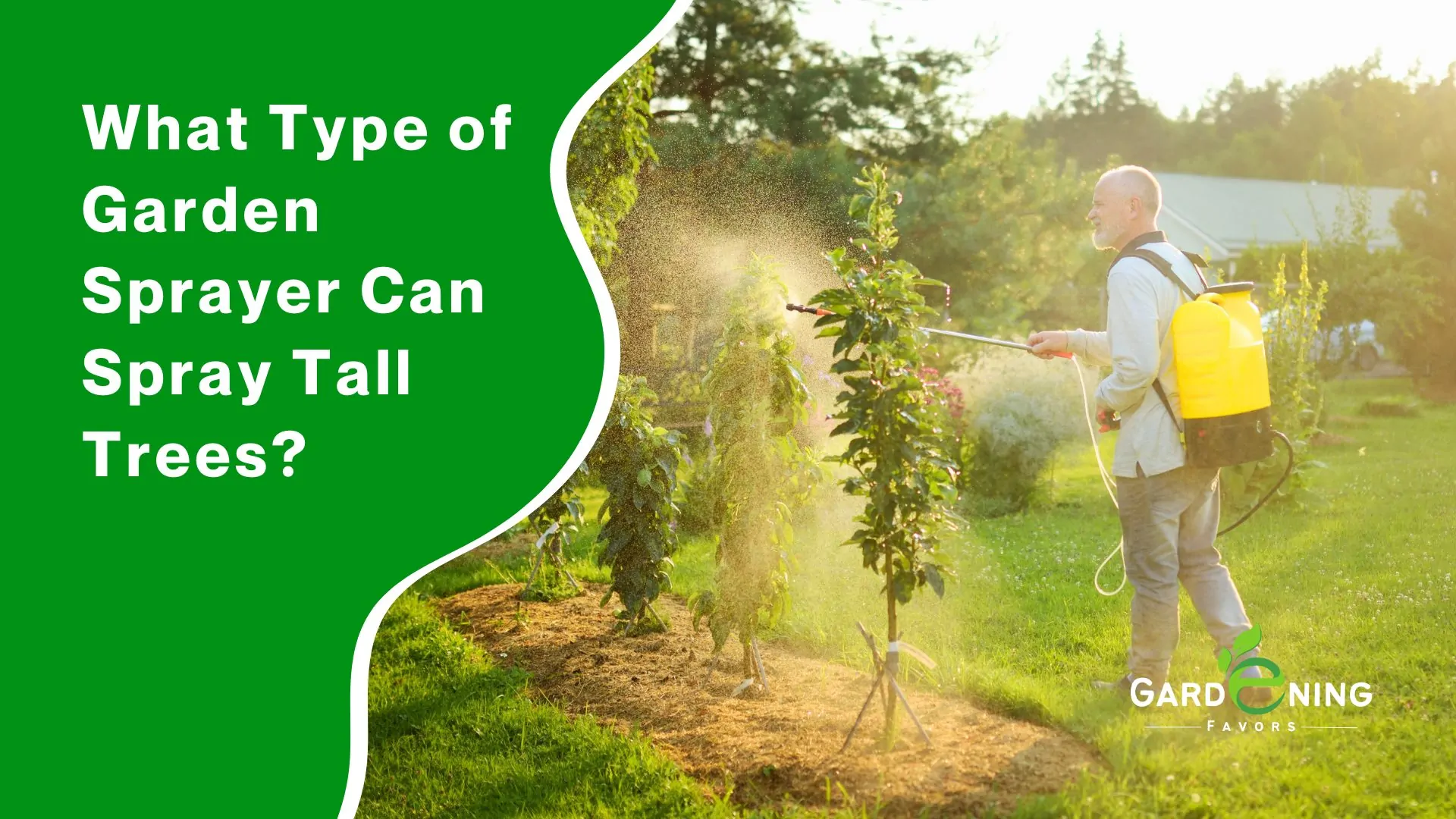What Type of Garden Sprayer Can Spray Tall Trees