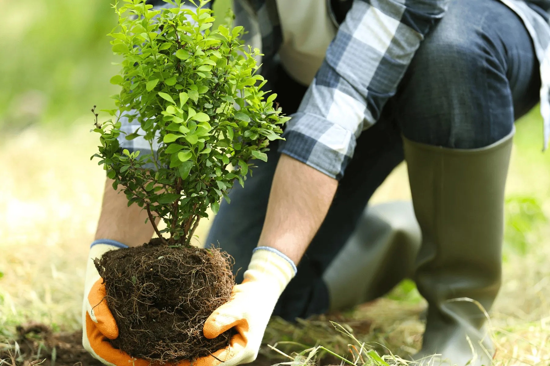 Autumn Gardening: 5 Key Tasks for Thriving 2026 Outdoor Space