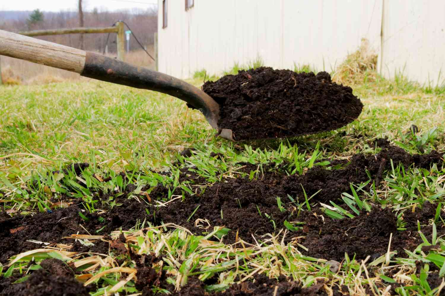 Gardeners spreading compost and organic matter on soil in autumn for winter soil improvement