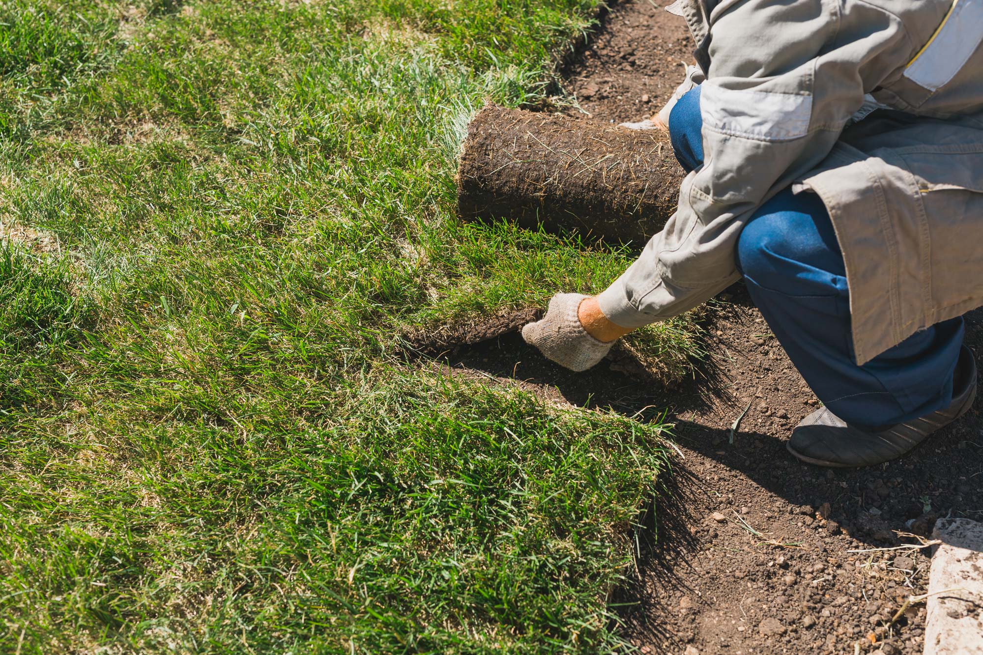 Lawn Care Tips Without Stressing the Grass