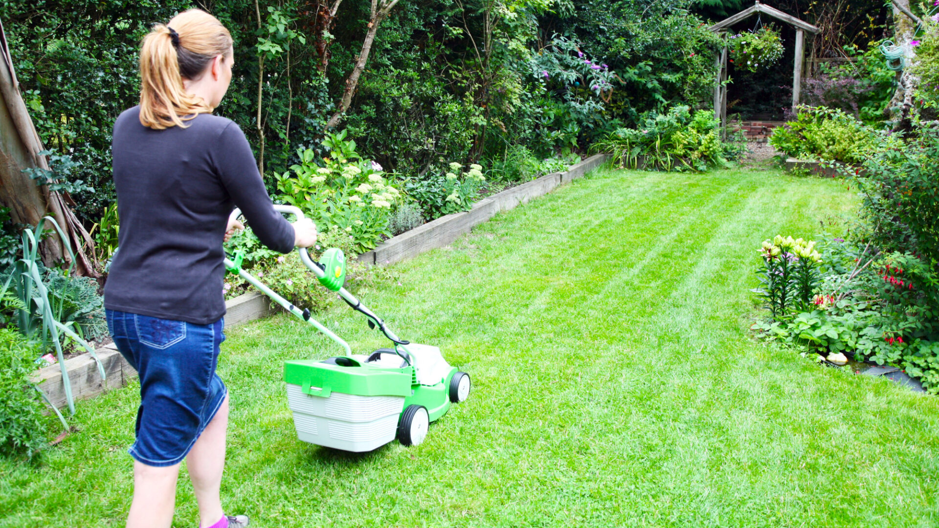 Lawn Care for Summer