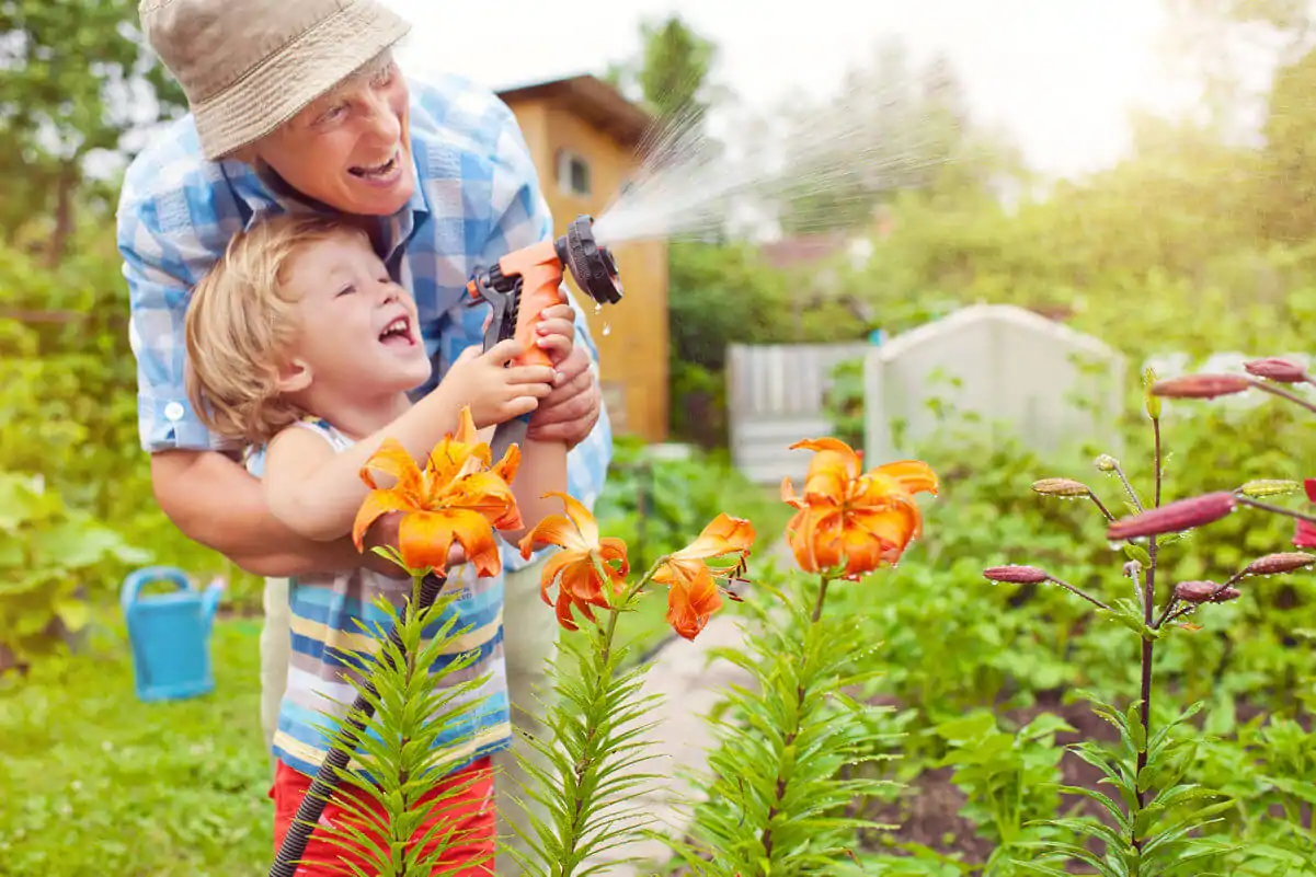 Set Up Proper Watering System