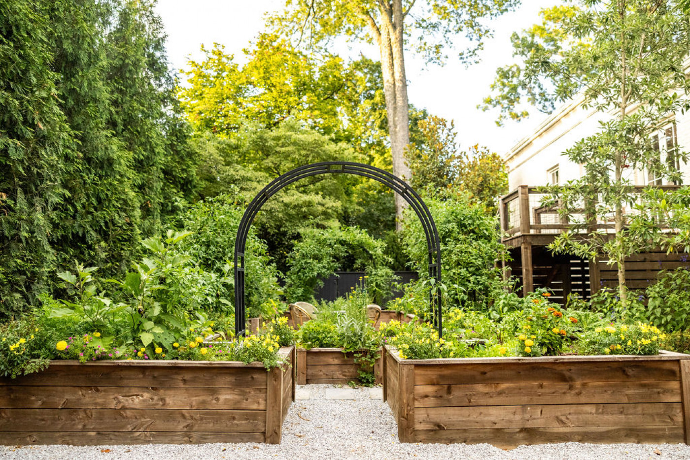 Understanding the July and August Garden Season