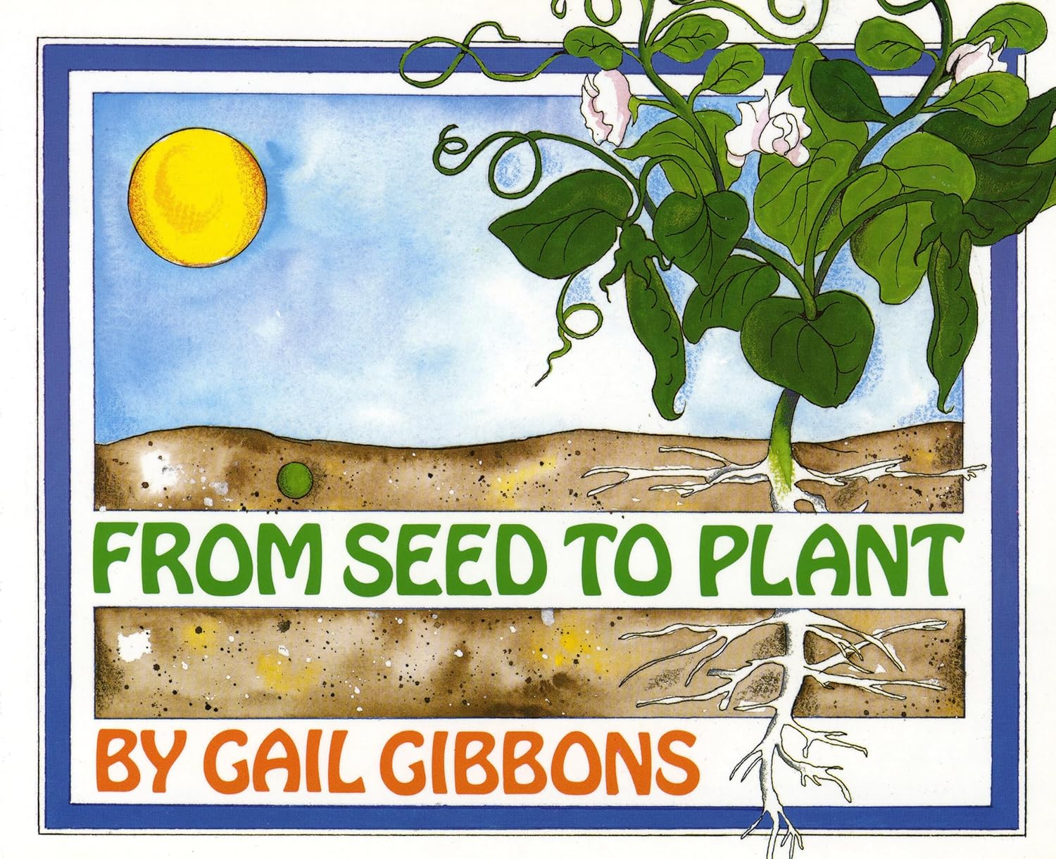 from Seed to Plant by Gail Gibbons