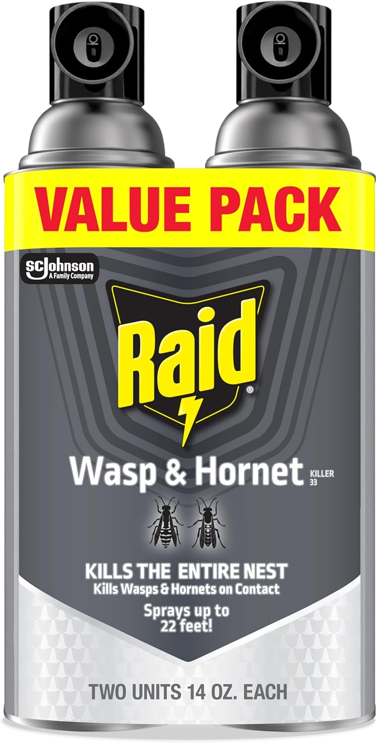 Raid Wasp & Hornet Killer Spray