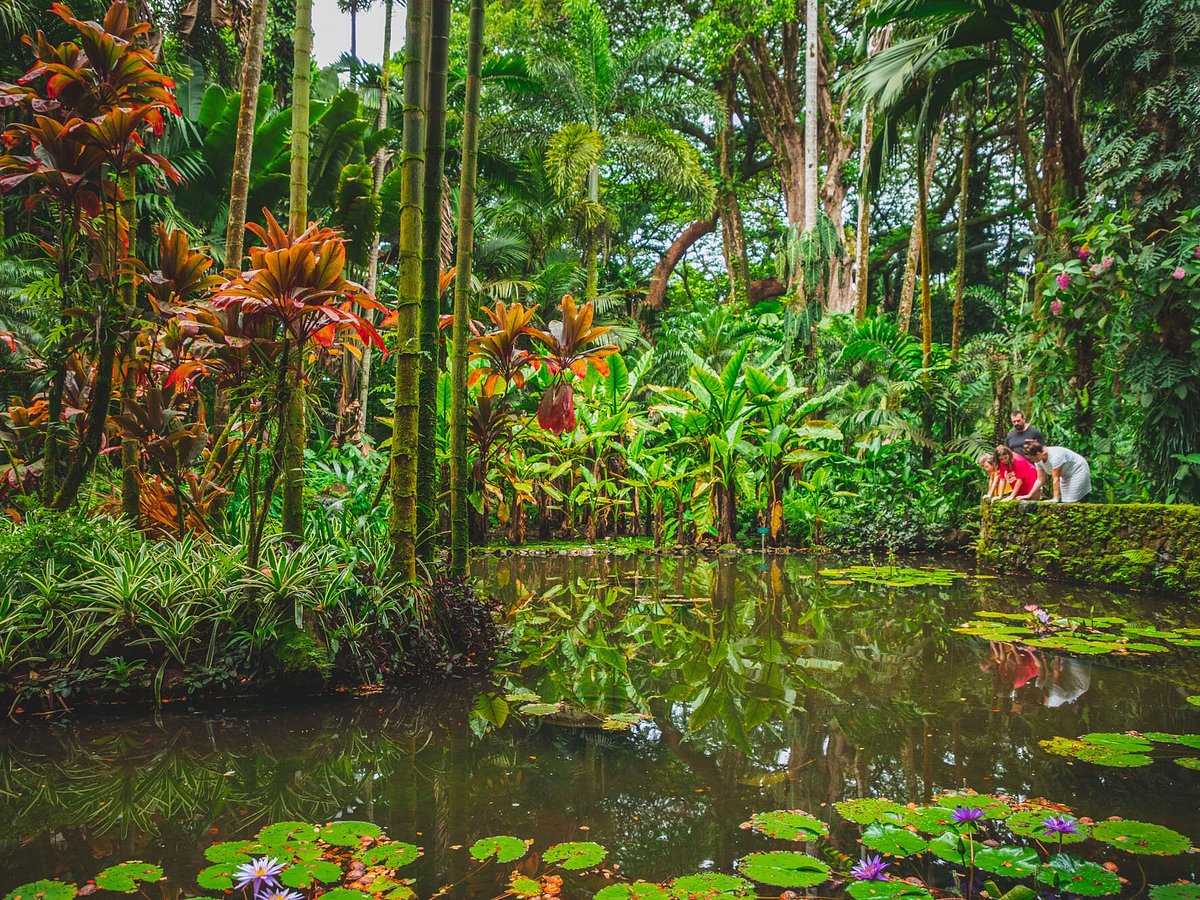 Hawaii's Tropical Gardens Keep The Island Green