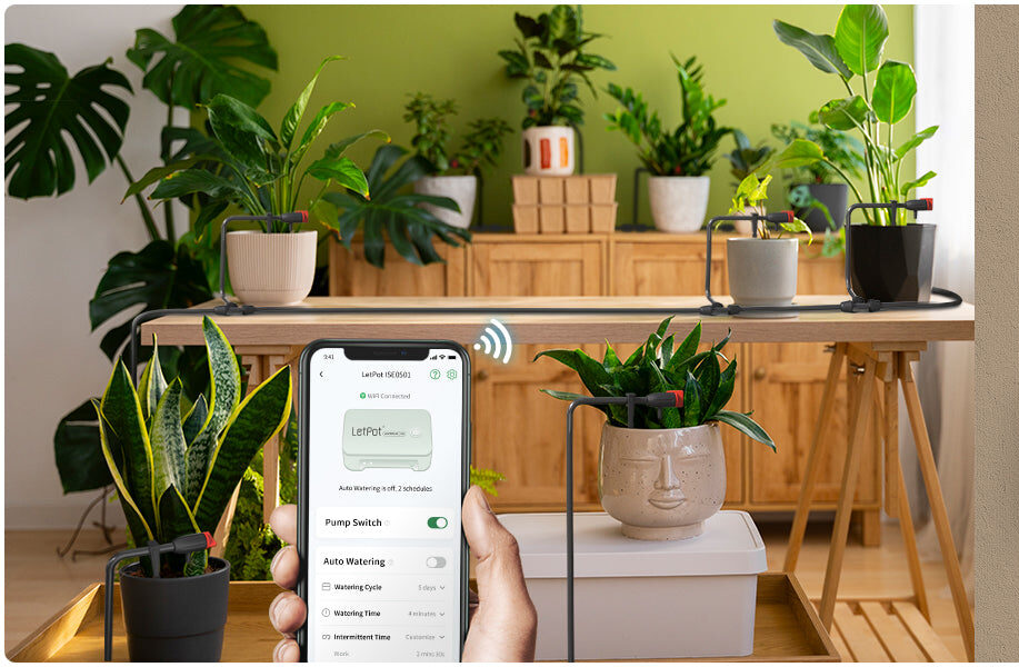 Install a Self-Watering System