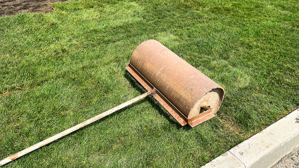 Lawn roller being used on freshly installed sod |