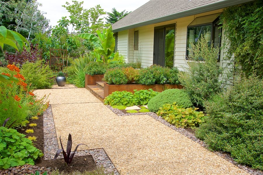 Transitioning Lawn Areas Without Herbicides