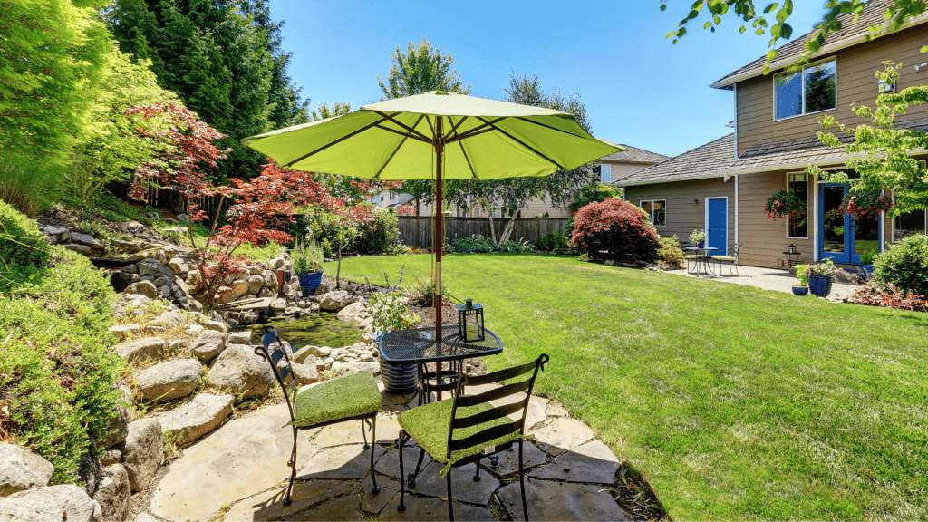 backyard landscape