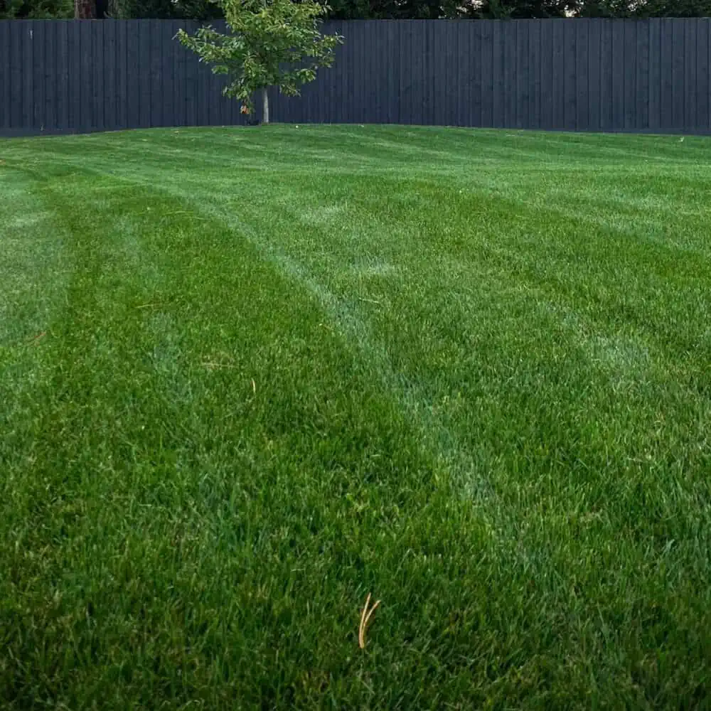cool-season and warm-season grass range