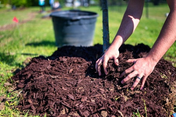 Best Practices for Effective Mulching