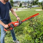 5 Best Corded Hedge Trimmer 2026: Complete Buying & Use Guide