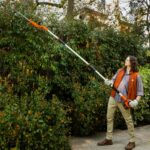 5 Best Pole Hedge Trimmer 2026: Uses & Buying Tips Guide