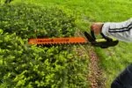 5 Best Battery Powered Hedge Trimmer In 2026: Types & Maintenance