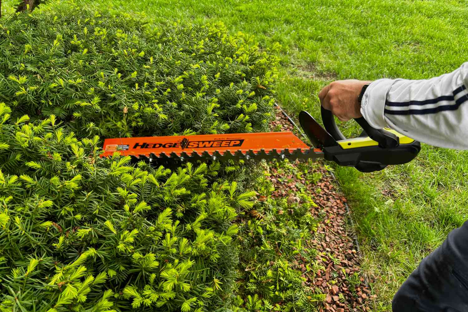 5 Best Battery Powered Hedge Trimmer In 2026: Types & Maintenance