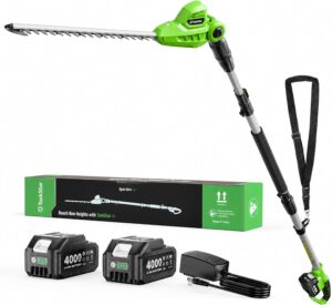 TaskStar Cordless Pole Hedge Trimmer 