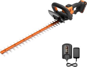 WORX 22