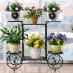 Choosing Indoor and Outdoor Garden Cart Wisely